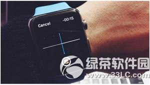 apple watch΢ô apple watch΢ŷ̳