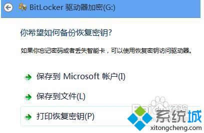 Bitlockerܹܲ