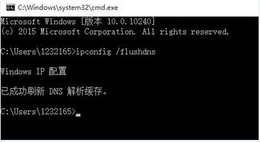 Win10ϵͳDNS