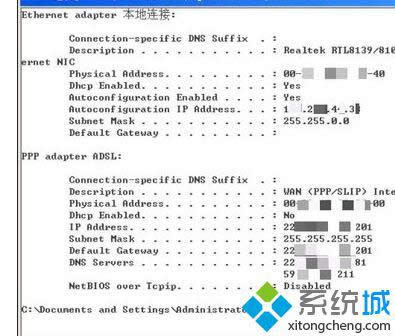 dns鿴4.1